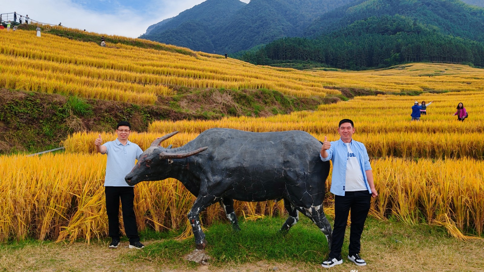 1730106296619818.jpg 微信圖片_20241028163616.jpg